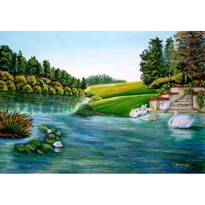 Il lago dei cigni